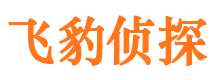 迭部侦探公司